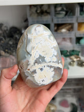 Load image into Gallery viewer, Orca Agate Freeforms