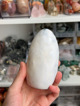 Load image into Gallery viewer, Orca Agate Freeforms