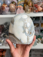 Load image into Gallery viewer, Orca Agate Freeforms
