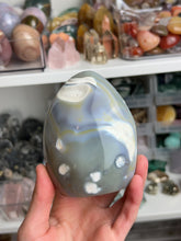 Load image into Gallery viewer, Orca Agate Freeforms