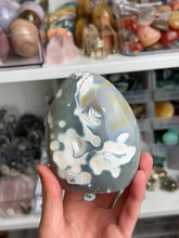 Load image into Gallery viewer, Orca Agate Freeforms