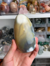 Load image into Gallery viewer, Orca Agate Freeforms
