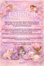 Load image into Gallery viewer, Tucson Gem Show Mystery Box