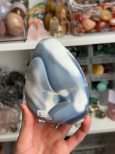 Load image into Gallery viewer, Orca Agate Freeforms