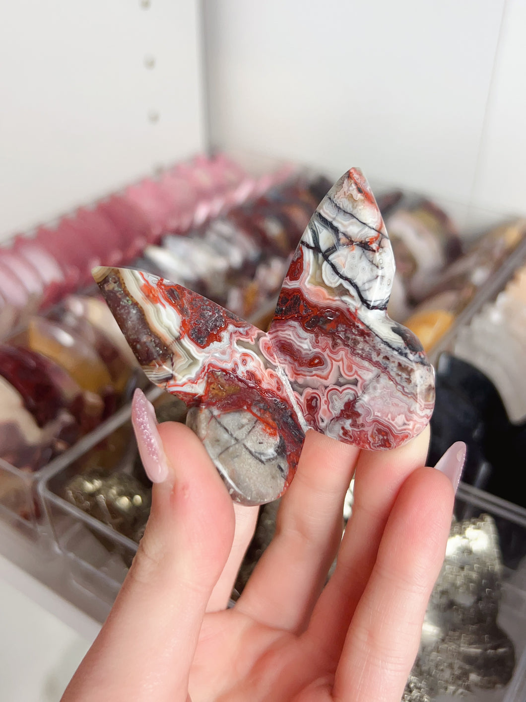 Crazy Lace Agate 3D Butterfly