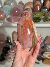 Load image into Gallery viewer, Pink Petrified Wood

