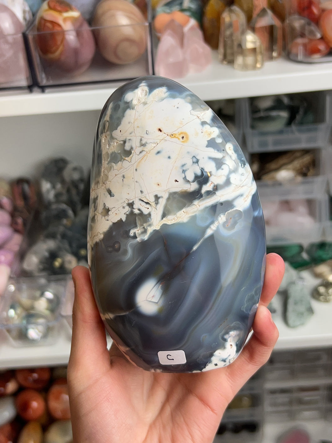 Orca Agate Freeforms