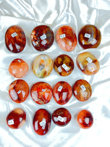 Carnelian Palms