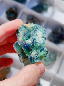 Color Changing Fluorite *UV REACTIVE* (📍Diana María Mine: hidden forest pocket, UK)