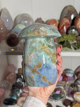 Load image into Gallery viewer, XL Orby Sea Jasper Mushie
