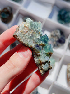 Color Changing Fluorite *UV REACTIVE* (📍Diana María Mine: hidden forest pocket, UK)