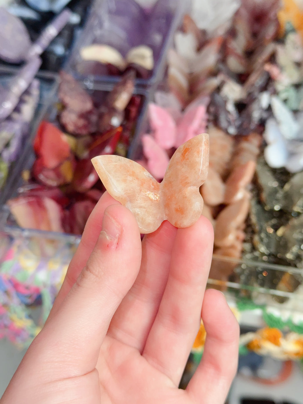 Mini Sunstone Butterfly