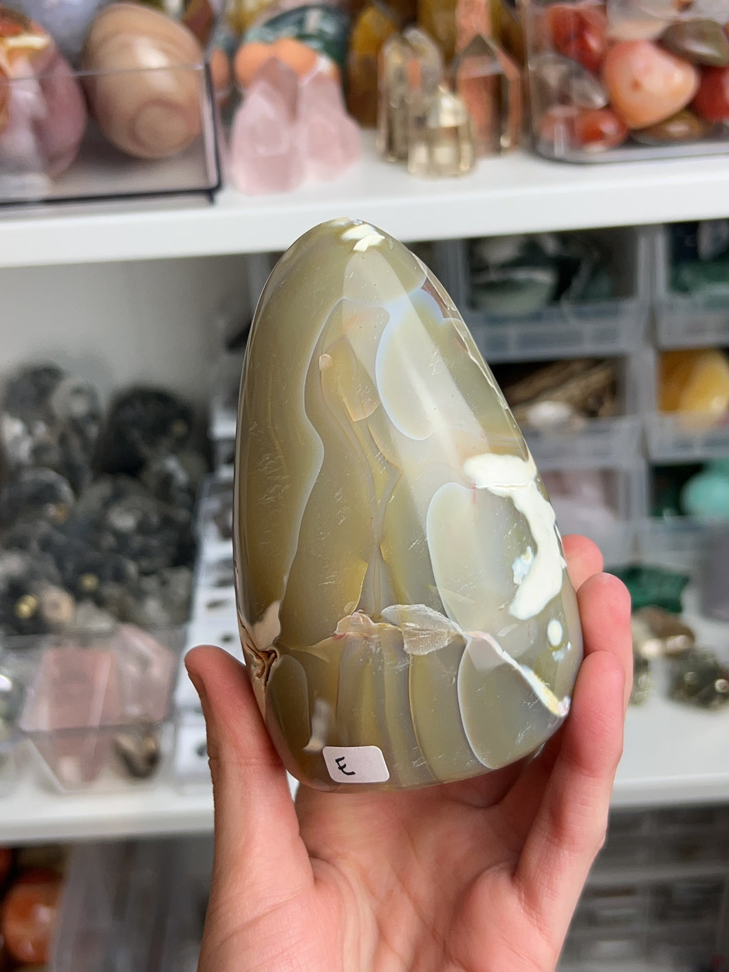 Orca Agate Freeforms