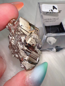 Veracruz Pyrite (📍Veracruz, Mexico)