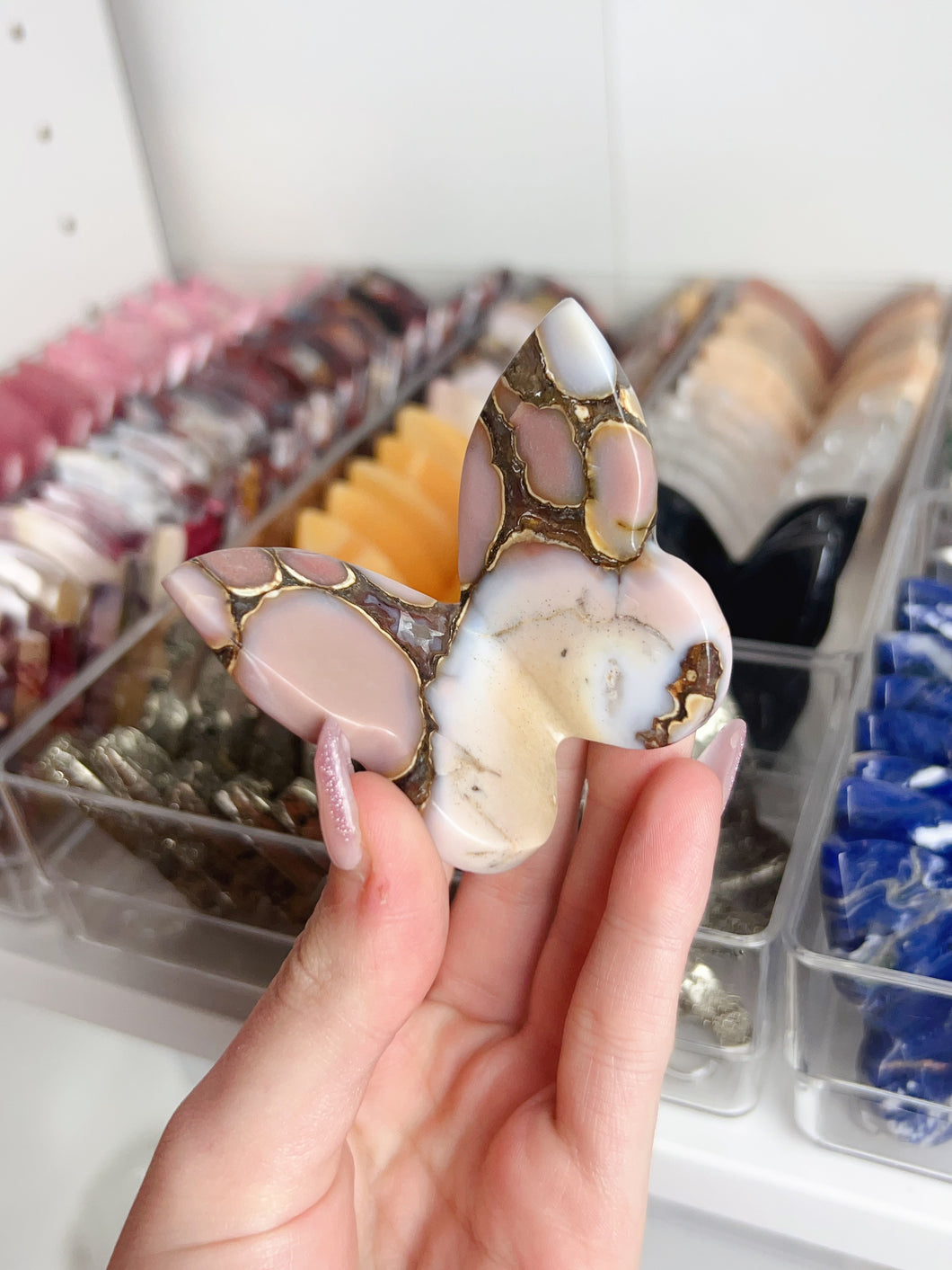 Cobra Jasper 3D Butterfly