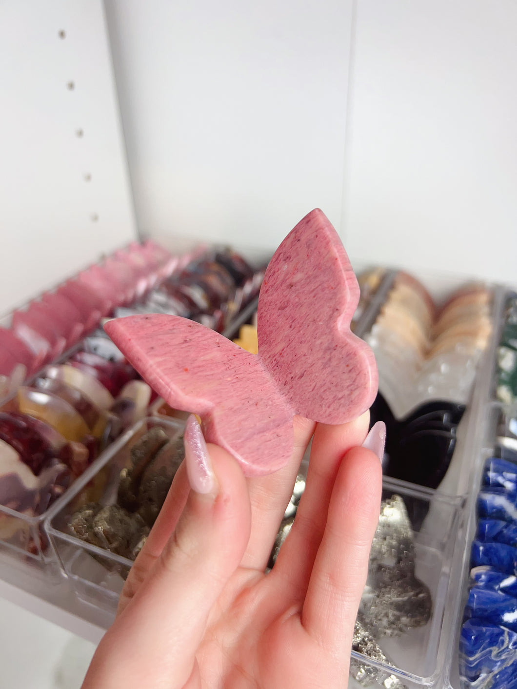 Pink Petrified Wood 3D Butterfly