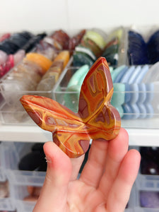 Noorena Jasper 3D Butterfly