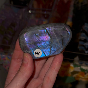 Labradorite Freeforms