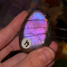 Load image into Gallery viewer, Higher Quality Labradorite Palms
