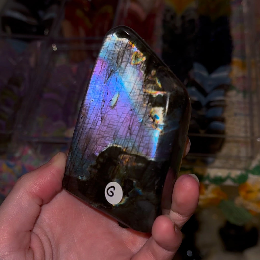 Labradorite Freeforms