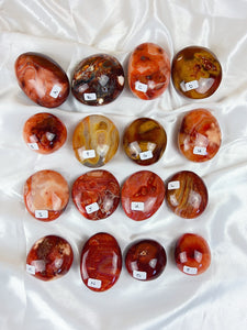 Carnelian Palms