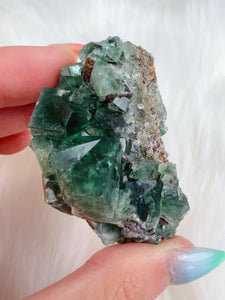 Color Changing Fluorite *UV REACTIVE* (📍Diana María Mine: hidden forest pocket, UK)