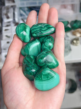 Load image into Gallery viewer, Chatoyant Malachite Tumbles
