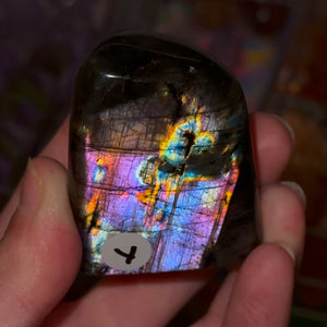 Labradorite Freeforms