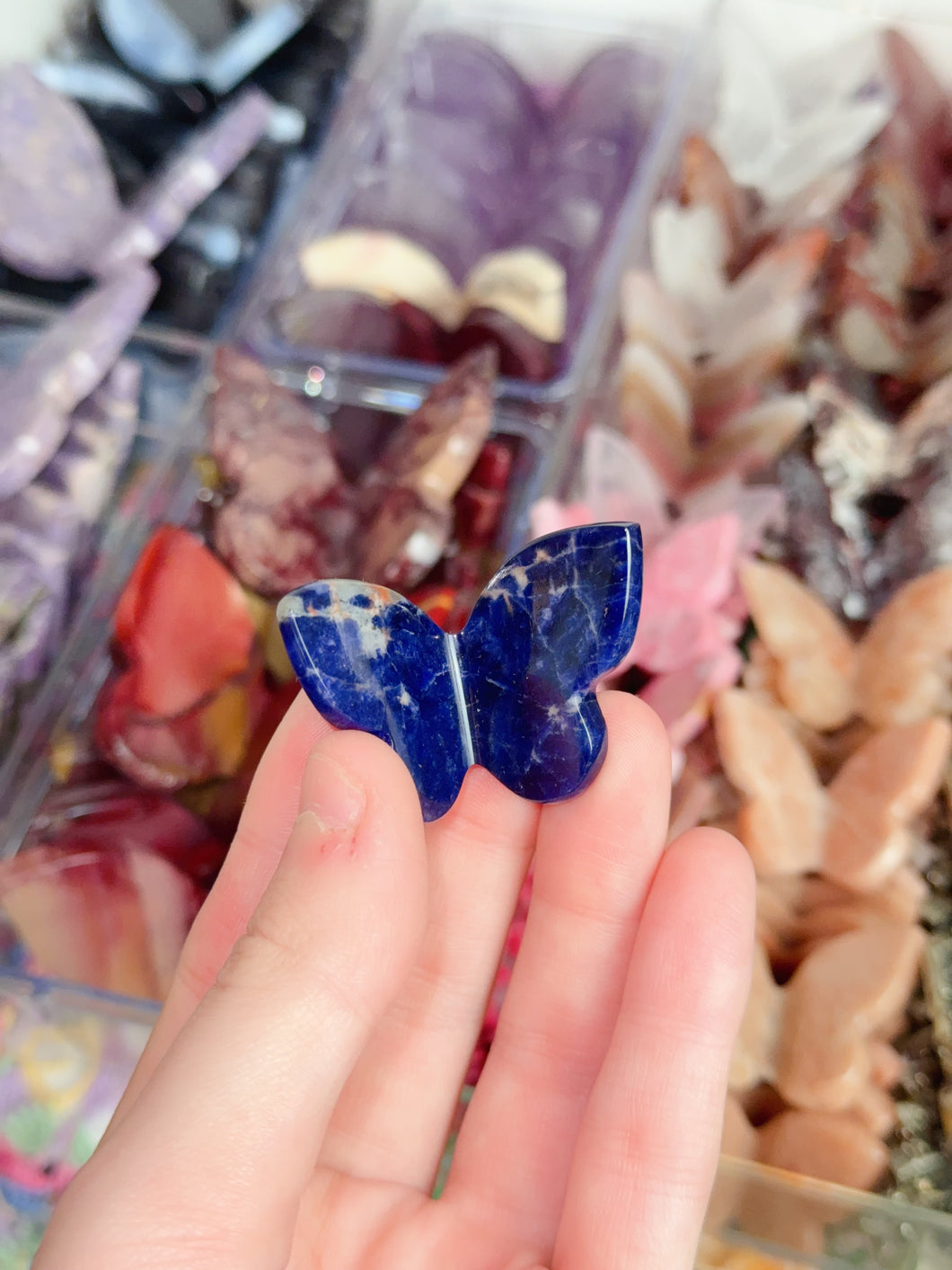 Mini Sodalite Butterfly