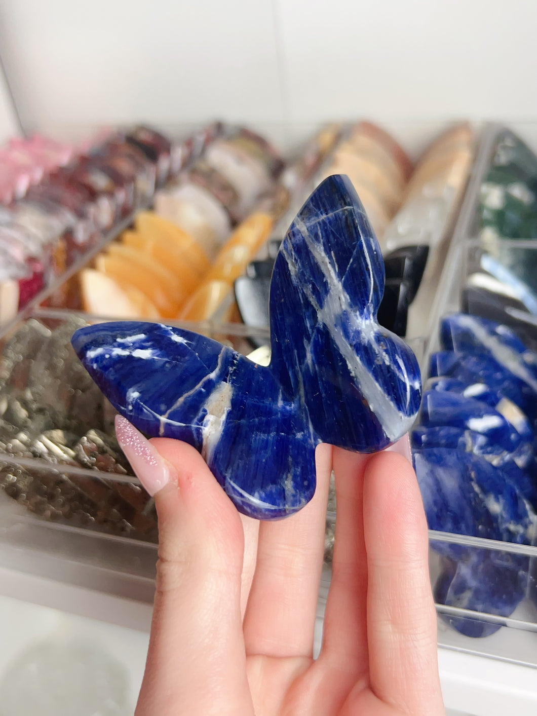 Juicy Sodalite 3D Butterfly