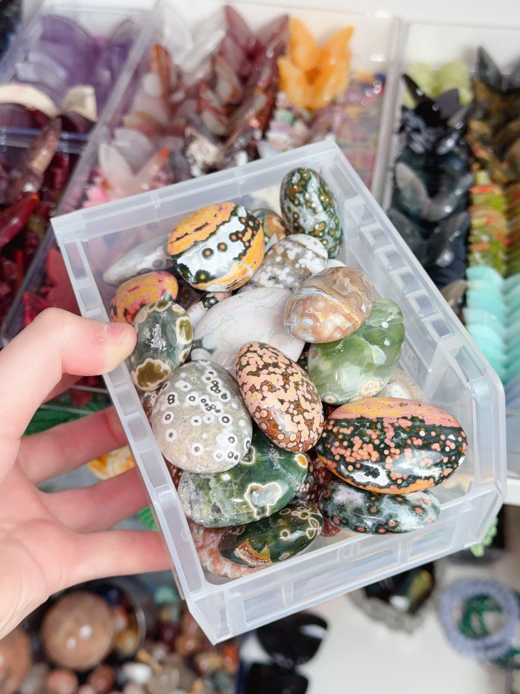 Smaller Orby Ocean Jasper Palms