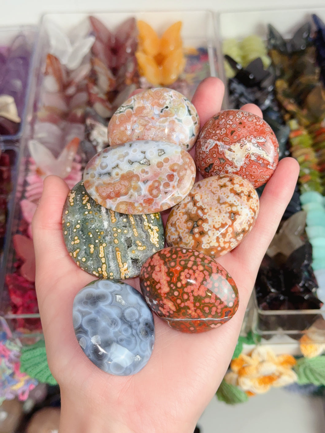 Orby Ocean Jasper Palms