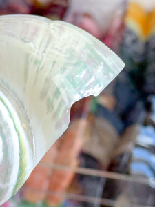 Iridescent Turbo Shells