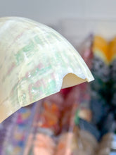 Load image into Gallery viewer, Iridescent Turbo Shells
