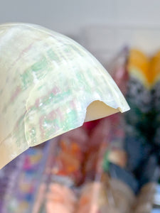 Iridescent Turbo Shells